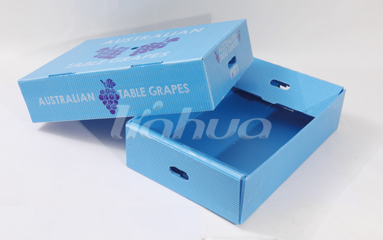 HỘP GRAPE